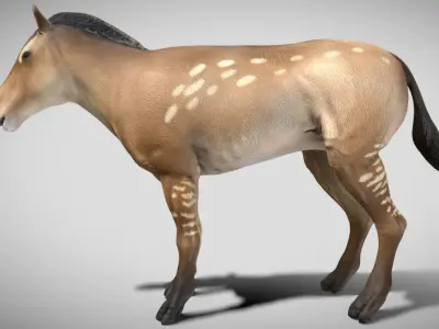 Mesohippus Low-poly 3D model