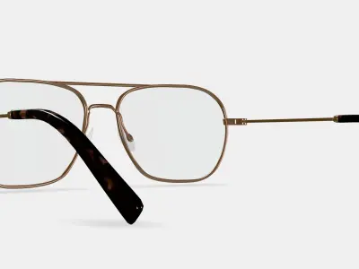 Abe Eyeglasses in Polished Gold 3D model