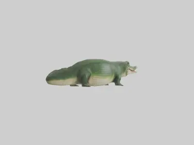 Crocodile Scales Model Low-poly 3D model
