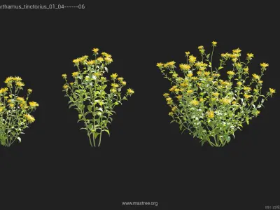 Maxtree Plant Models Vol 143 - Mesh 3D model