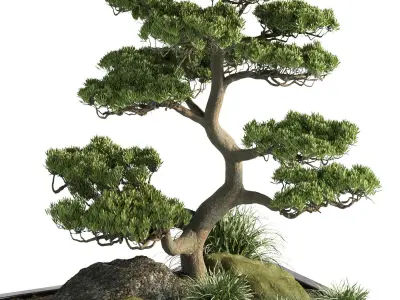 indoor plant set013 3D model
