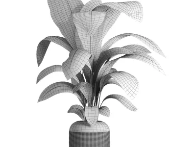 Indoor plant 041 3D model