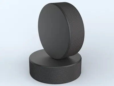 Hockey Puck 3D model