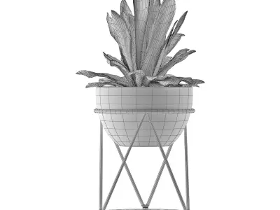House Plant 27 3D model