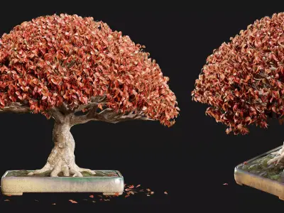 Bonsai 03 - PBR - Midpoly - HQ 3D model