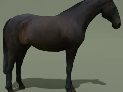LowPoly Horse E Dark Bay Low-poly 3D model