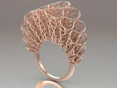 fiozhen ring Free 3D print model