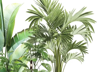 Houseplants in a flowerpot for the interior 1031 3D model