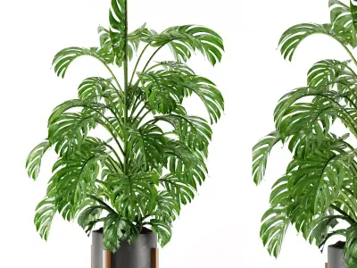 Plants set 01 3D model