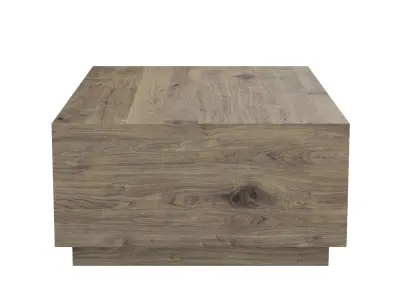 Classic Home Nyla Coffee Table 3D model