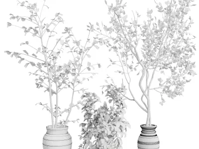 Indoor plant 479 wooden dirt vase plant tree pot 3D model