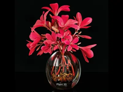 Plant collection 4 flowers in glass vase