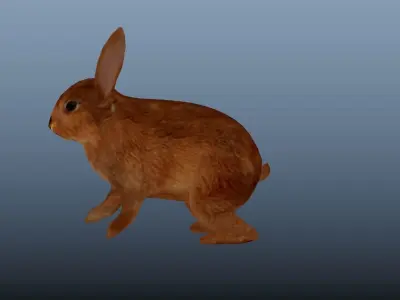 Rabbit Animated VFX Grace Low-poly Low-poly 3D model