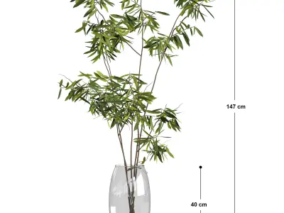 Ficus branches bouquet set 01 3D model