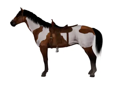 Horse Spanish Mustang  - Stallion Game Ready Low-poly 3D model