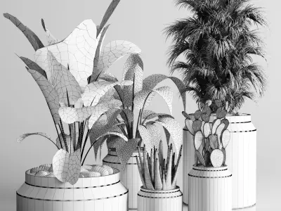 indoor plant ficus lyrata palm cactus concrete dirt vase 3D model