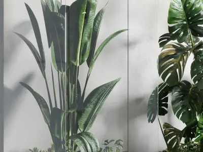 Glass Garden - indoor plant 297 Low-poly 3D model