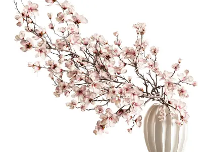 Magnolia Blossom Branches in White Ceramic Vase 3D model