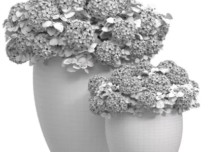 Hydrangea Plant in a garden pot 3D model