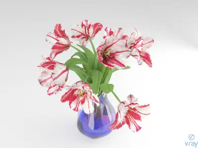 Fringe Tulips 3D model