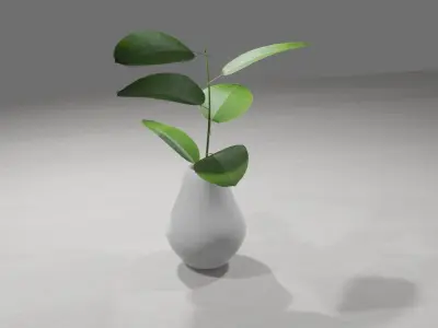 Decorative Plants 3D model