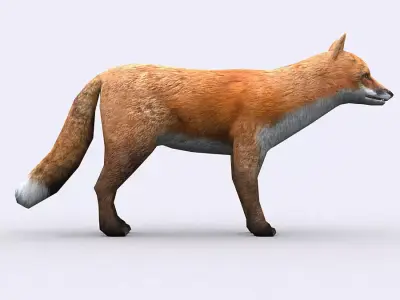 3DRT - Fox Low-poly 3D model