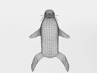 Marine seal Low-poly 3D model