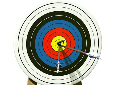 Target with arrows in the center 3D model