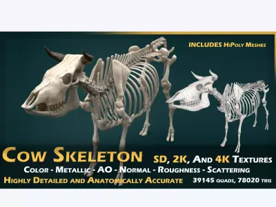 Cow Skeleton Low-poly 3D model