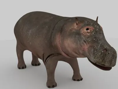 Hippo Low-poly 3D model