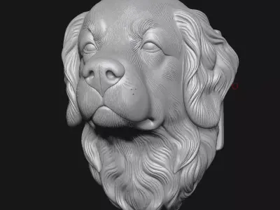 Berner sennenhond 3D print model