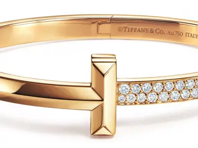 T1 Wide Diamond Hinged Bangle 3D print model