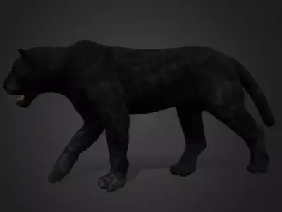 Panther Realistic Animated 3D model