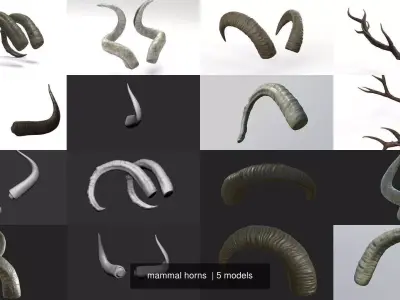 mammal horns  3D Model Collection