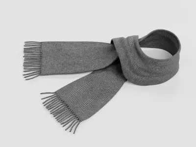 -Winter Accessories- 3D model