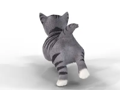 Cute Fur Kitten Gray Animated  Low-poly 3D model