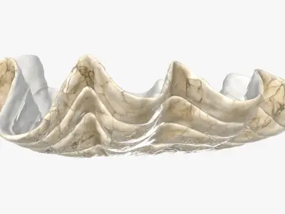 Clam shell bowl 3D model
