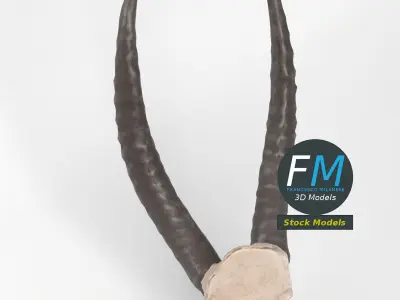 Stylized animal horns 3D model