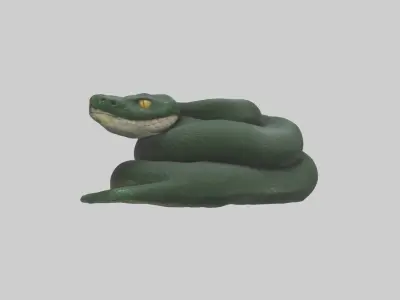Sleeping Snake Model Low-poly 3D model