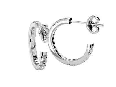 Women earrings model 3D print model