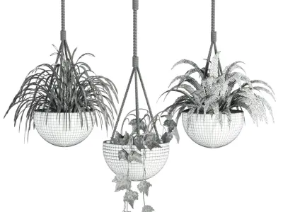 hanging Plants Set 3D model