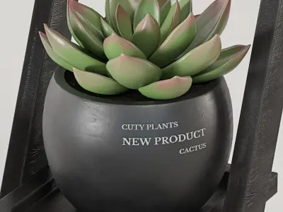 Decorative Cactus and plants set 01 3D model