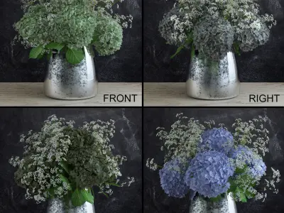 Bouquet of Gypsophila with Hyndrangeas 3D model