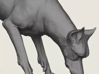 Doberman Dog Eating 3D print model