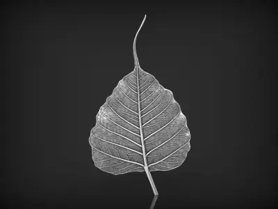 Bodhi leaf Relief 3D print model