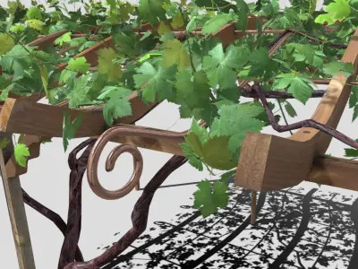 Vine pergola 3D model