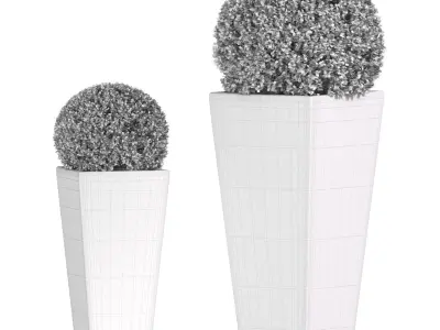 Modern Boxwood in the garden planter ArtDeco 3D model