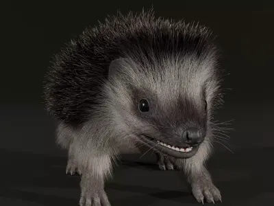 Realistic Animated Hedgehog 3D model