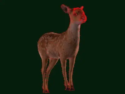 Fawn Sitka Blacktail Deer Low-poly 3D model