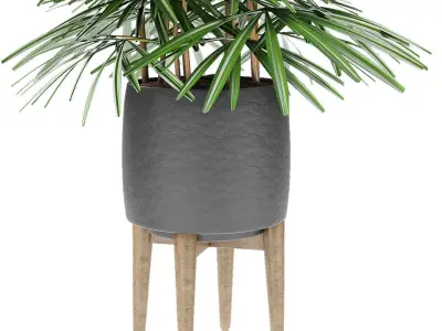 Plant in Pot Flowerpot Exotic Plant 3D model 7